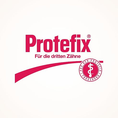 Protefix Logo | Queisser